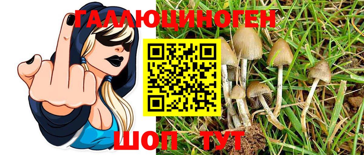 Галлюциногенные грибы Magic Shrooms Астрахань